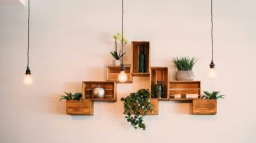 pexels-fotios-photos-1090638 Cuadros decorativos con plantas